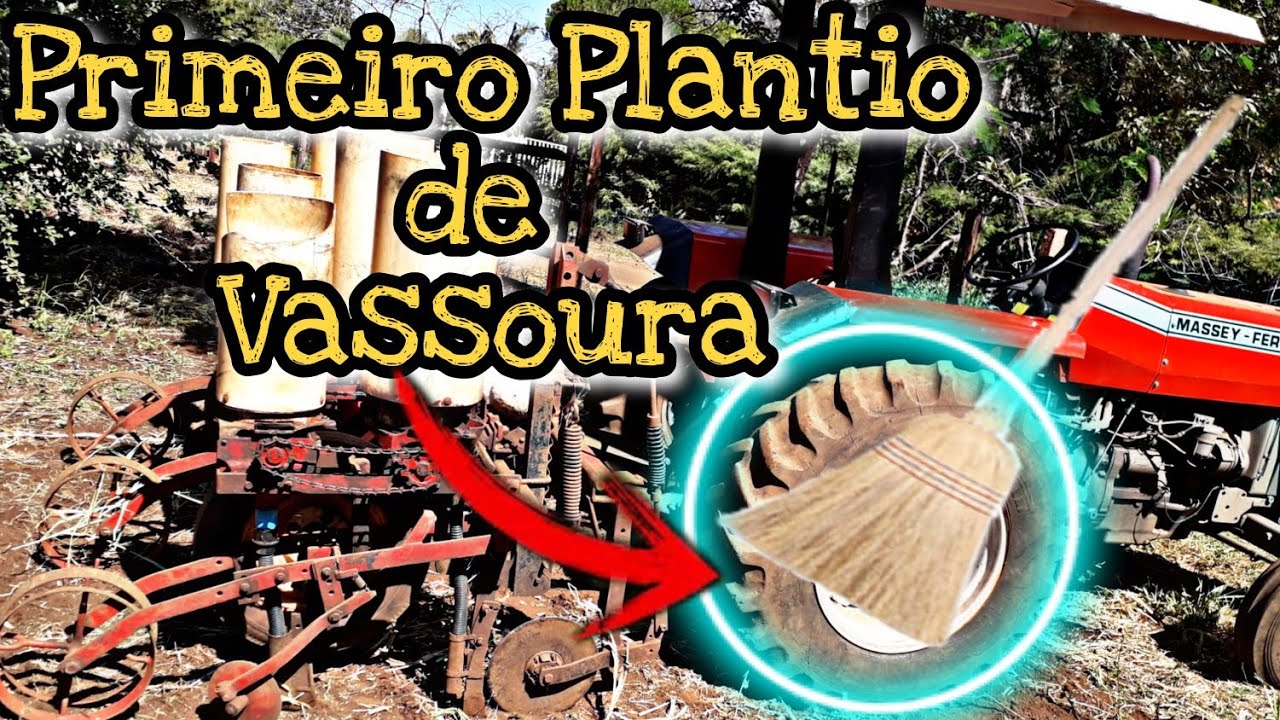 GRADIANDO E PLANTANDO VASSOURA* nosso primeiro plantio*🚜🤠