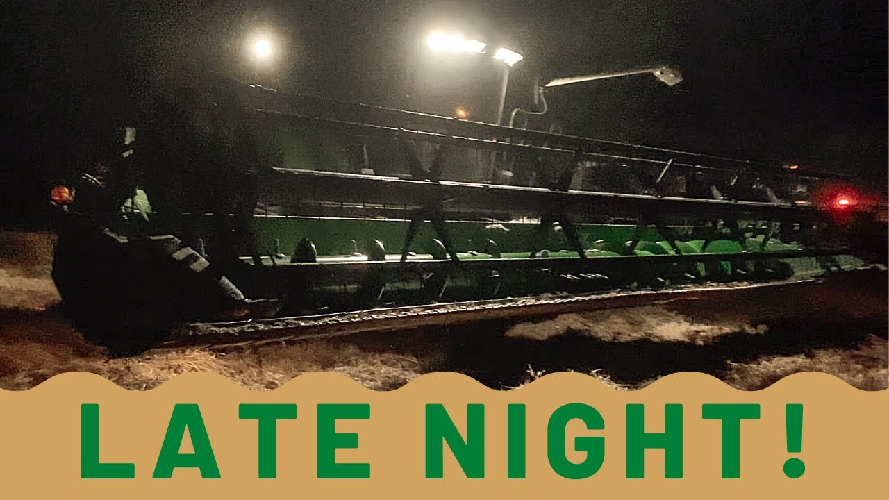 Harvesting Wheat at Night! (Wheat Harvest 2020 Part 3)