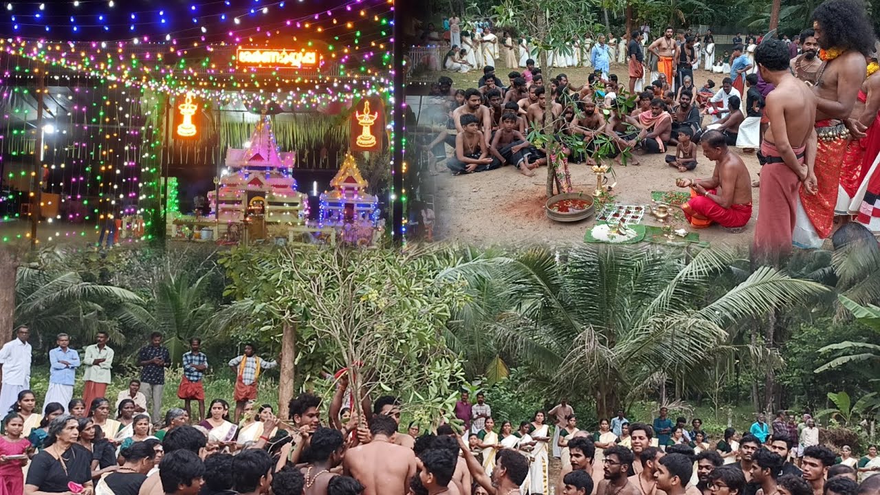 മരുതൂർ വൈലിരികാവ് ഭഗവതി ക്ഷേത്രം, ദേശവിളക്ക് മഹോത്സവം 2k24 നവംബർ 30 ശനിയാഴ്ച