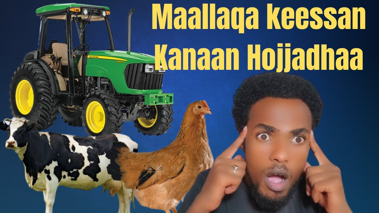 Maalaqqa keessan kanaan Hojjadhaa.// hojiile bu'aa gurguddaa qaban.