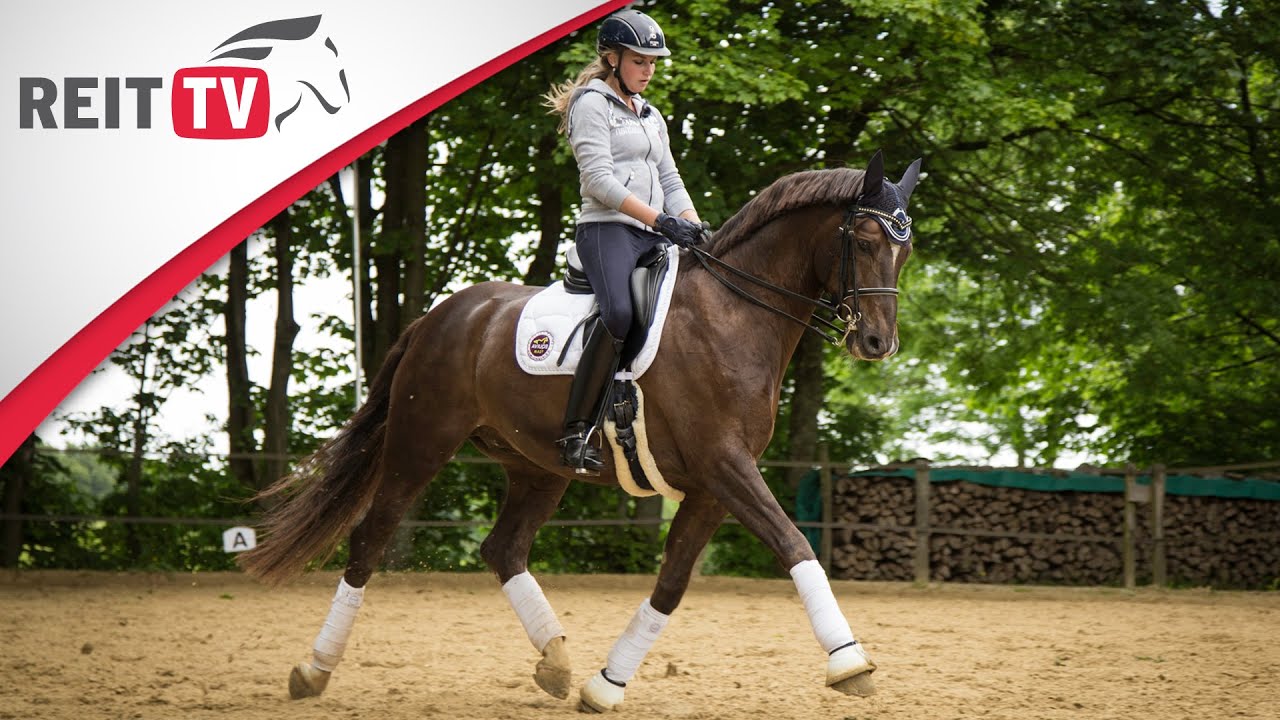 Homestory | Zu Besuch bei EQUIVA-Nachwuchsreiterin Laura