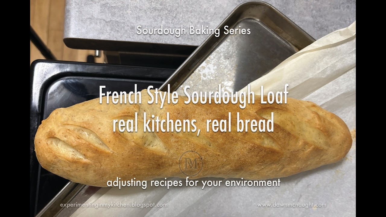 Bake # 9   French Style Loaf   Sourdough Starter