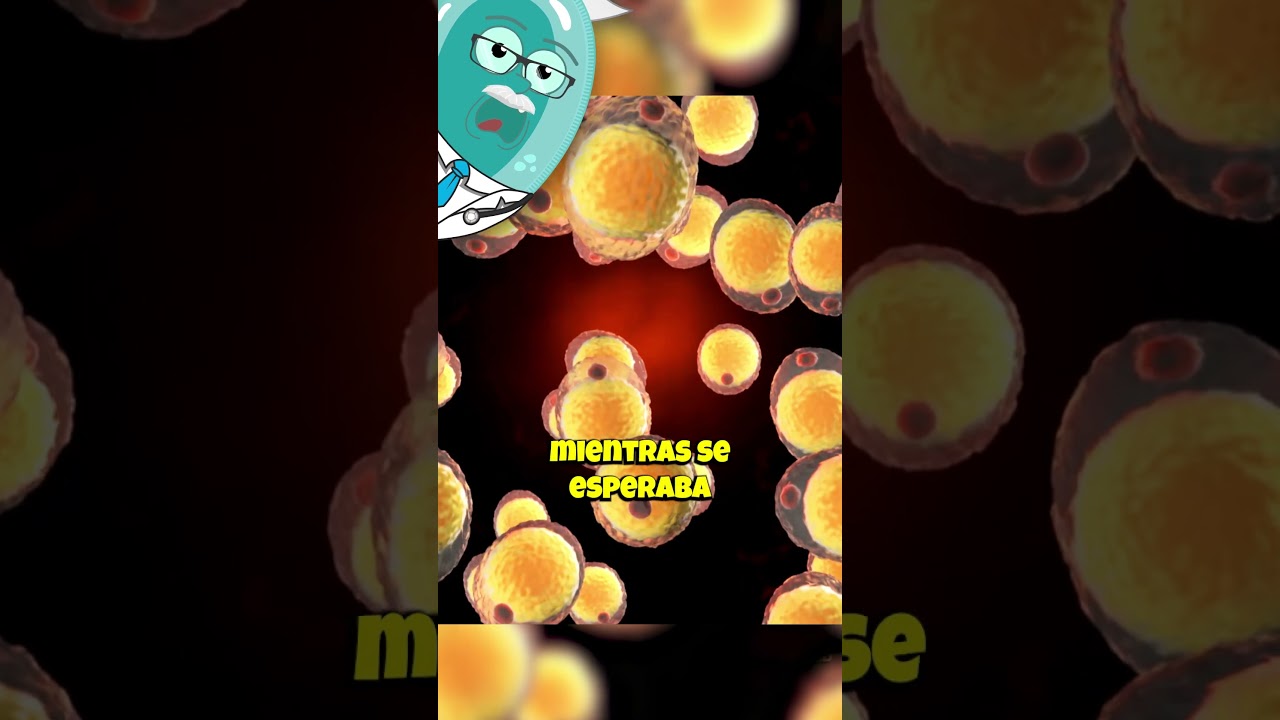 Ella Sobrevivi&oacute; a la Rabia Sin Vacuna! #curiosidades #sabiasque #historia #medicina #ciencia #shorts
