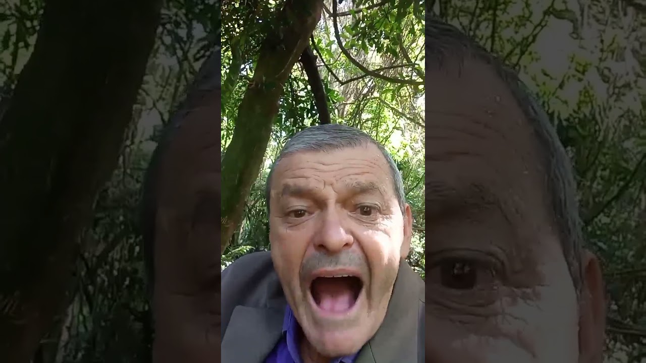 6 de março de 2026