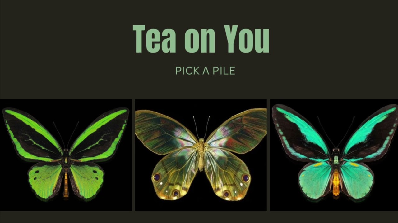 Tea on You | PICKAPILE