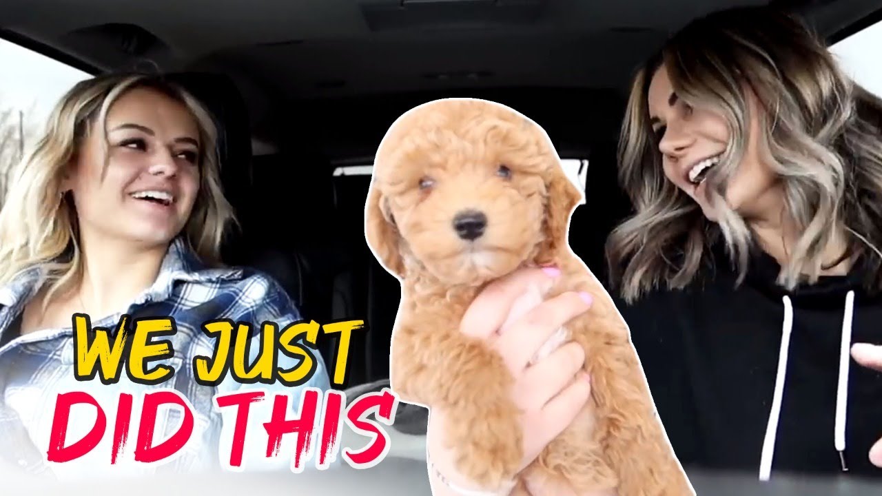 I Feel Like We Just Did This | The LeRoys