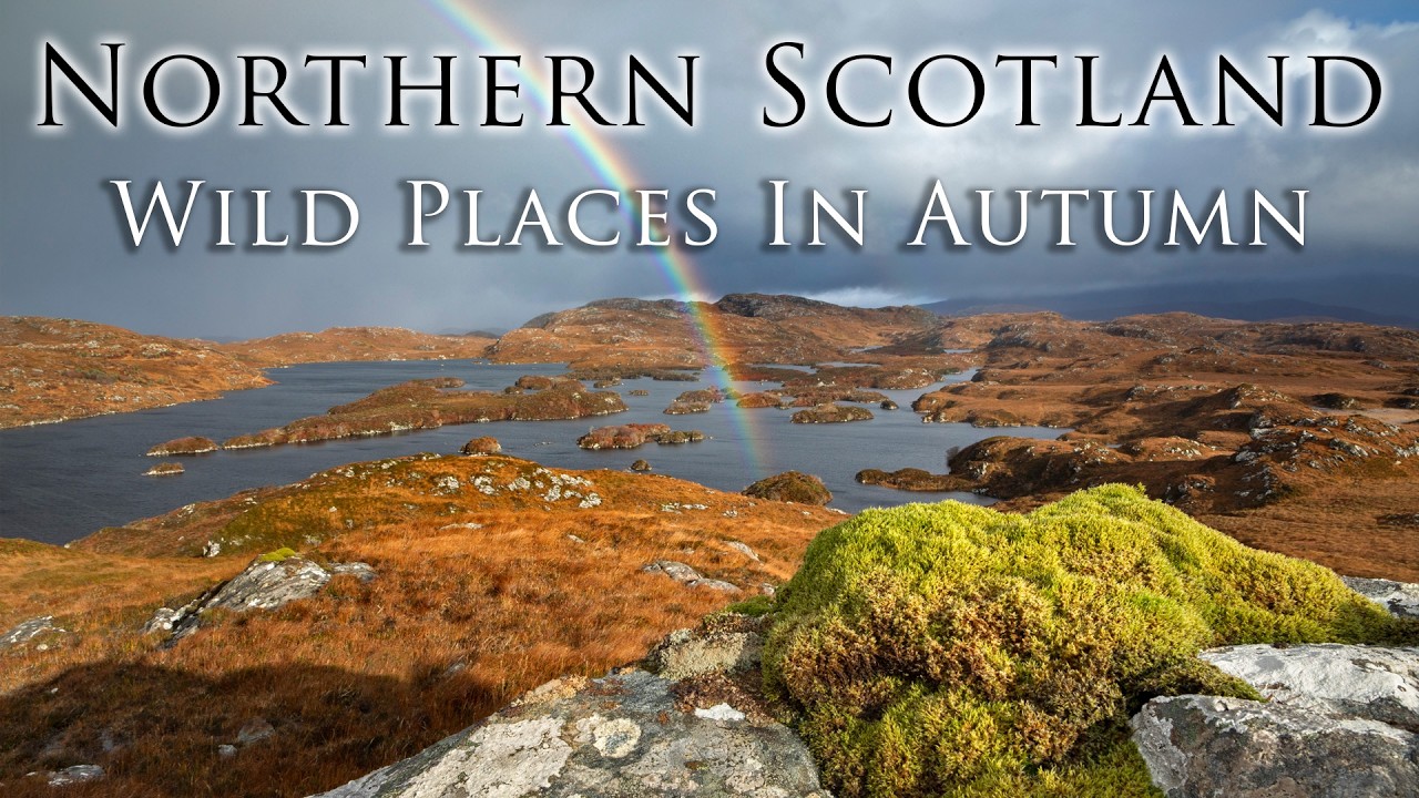 10 Minutes of Scottish Wilderness – Peaceful Highlands Nature Video with Relaxing Sounds