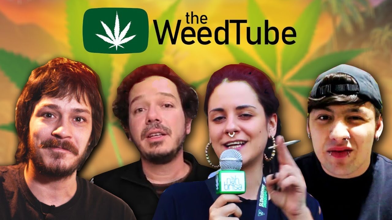 A REVOLU&Ccedil;&Atilde;O DOS MACONHEIROS - THE WEEDTUBE