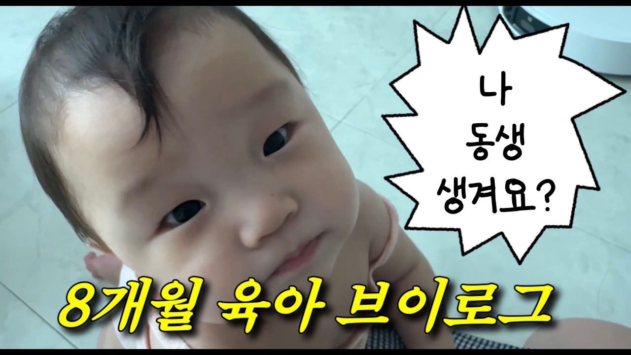 8개월 브이로그(261~271일) | 둘째 준비 결과는? 연년생 지망생, 잉글레시나 퀴드3 후기