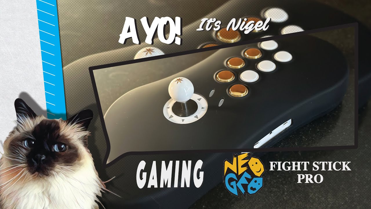 Neo Geo Fight Stick Pro Sanwa Mod | A YO Gaming