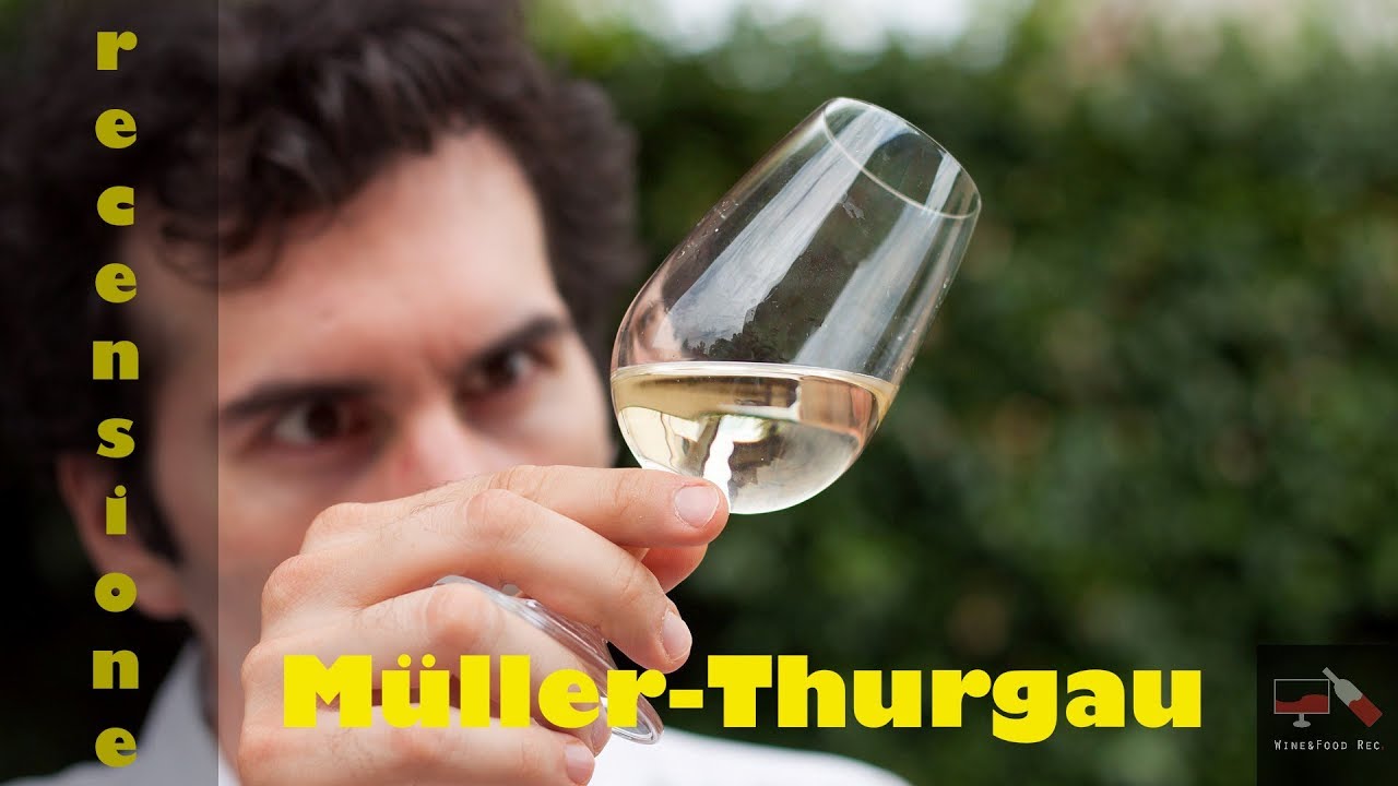 M&uuml;ller-Thurgau Recensione Test di Wine&Food rec.