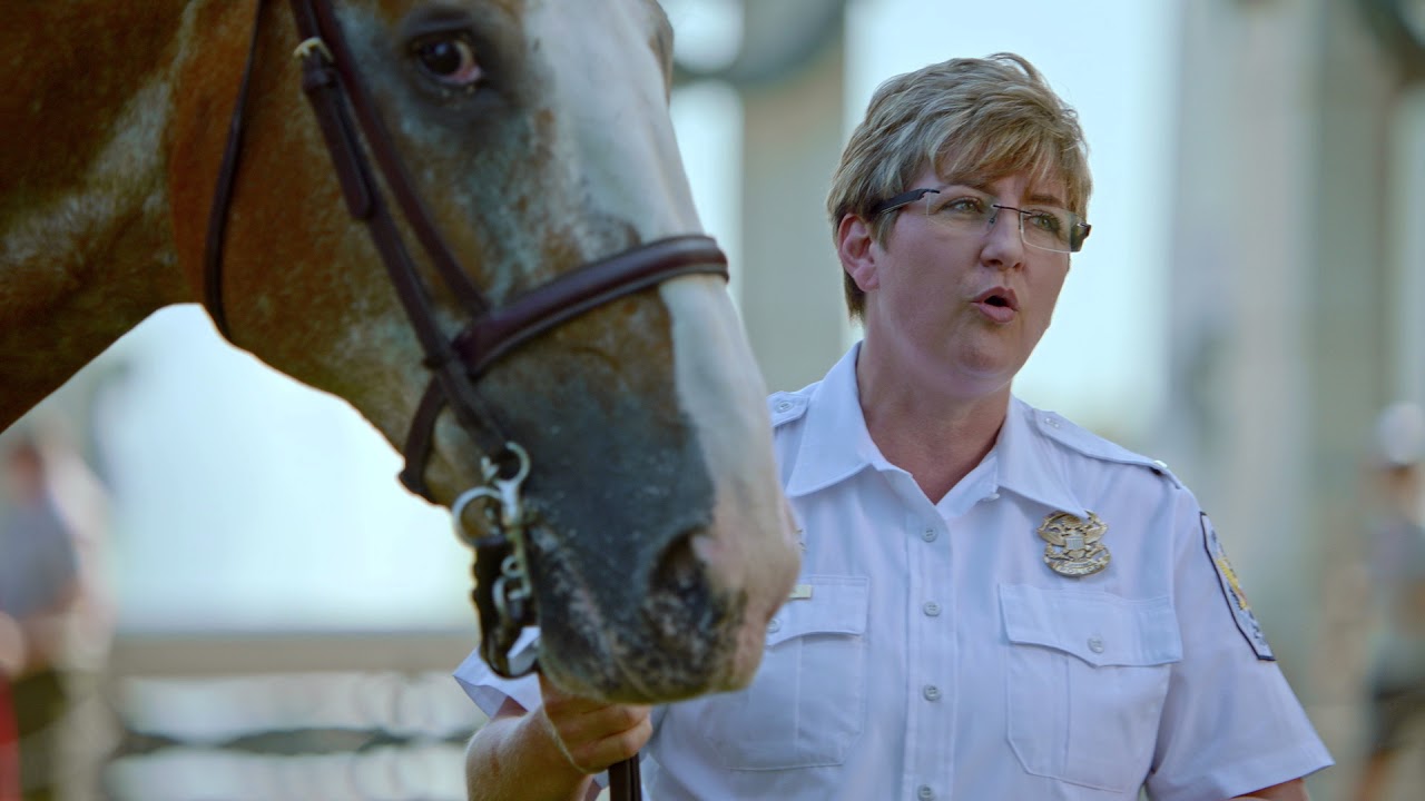Help Rebuild the U.S. Park Police Horse Stables on the National Mall