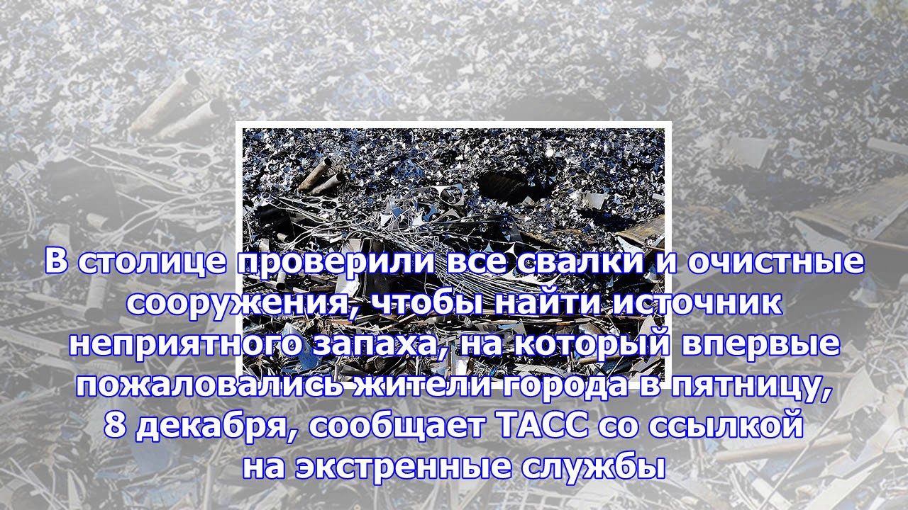 В&nbsp;поисках тухлого запаха: в&nbsp;москве проверены все&nbsp;свалки