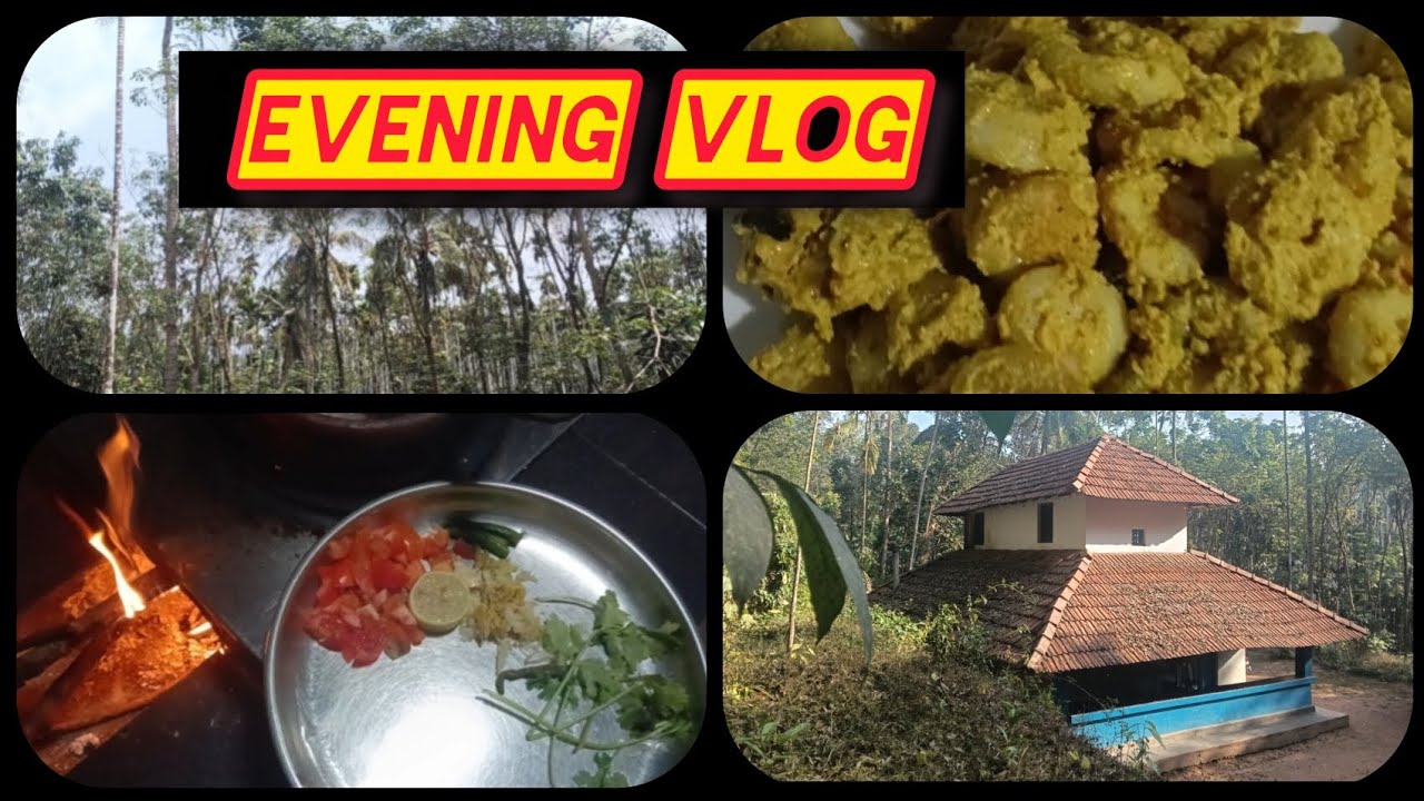 ഒരു സാധാരണക്കാരന്റെ വീട്ടിലെ വൈകുനേരം #virel #cooking #vlog 