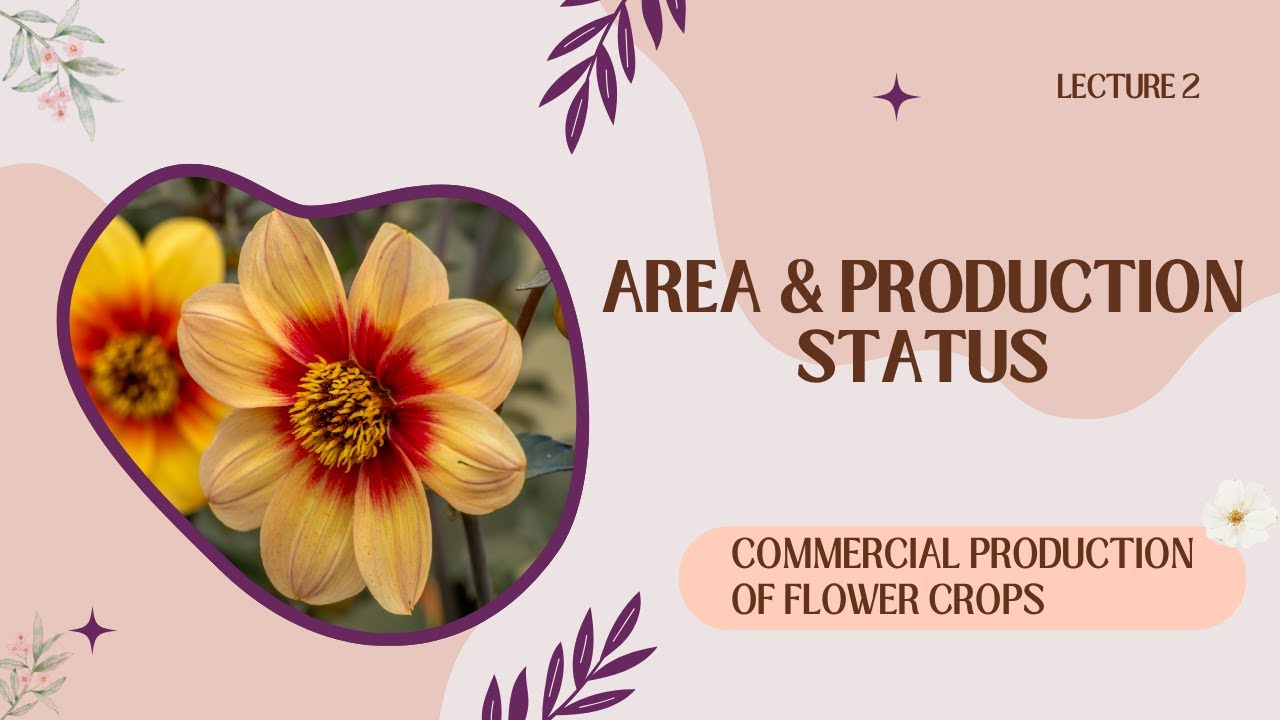Floriculture in India: Area, Production & Export Status