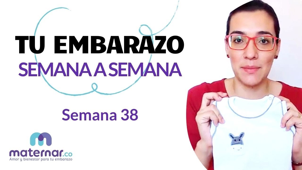 Semana 38 | Tu embarazo semana a semana | Maternar.co