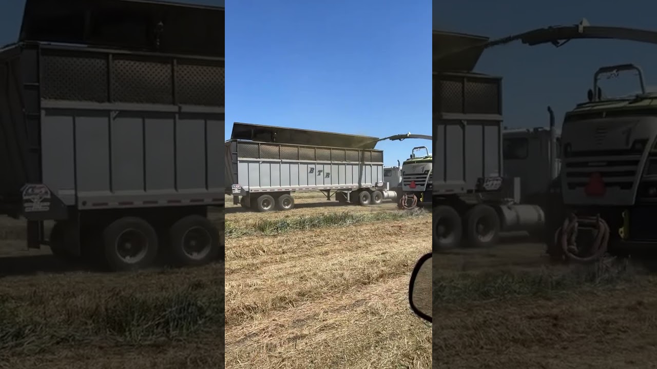 BTR California style silage trailer. She&rsquo;s for sale. 😎 #silage
