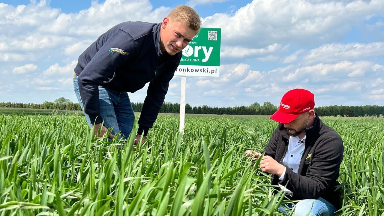 Wbijamy na pole u AGRO KUZYNÓW! Jak wyglądają zboża na V i VI klasie? 🌱