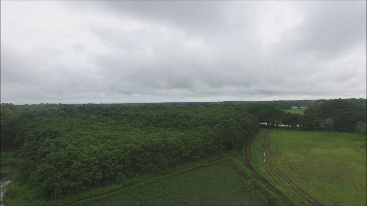 Farm with teak plantation - Hacienda con plantaci&oacute;n de Teca