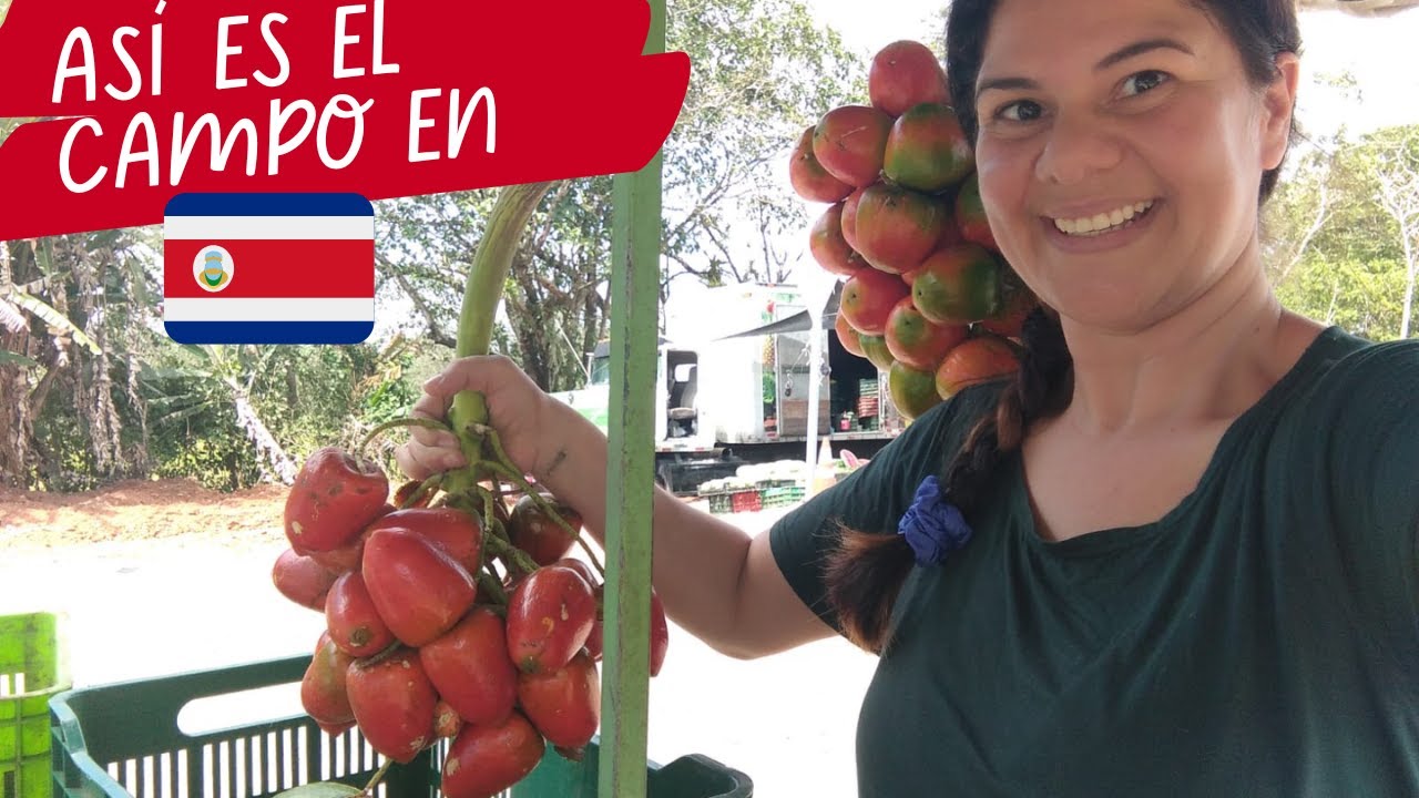 Así Es La VIDA en el CAMPO en COSTA RICA
