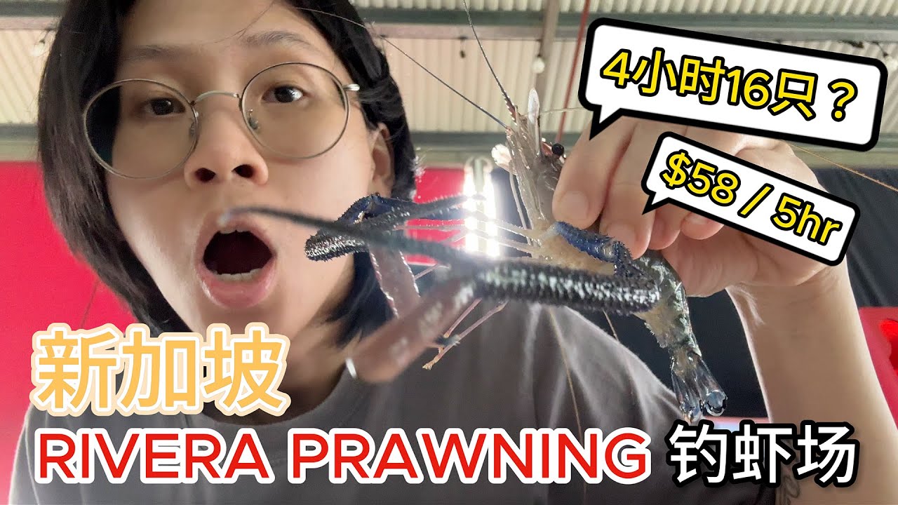 一个人去钓虾!?RIVERA PRAWNING_4个小时16只多还是少？【钓虾记】#132