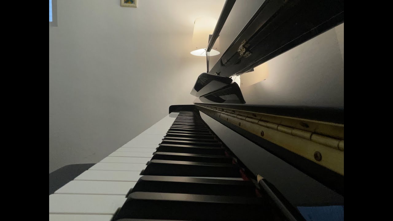 La Valse d'Amélie - Yann Tiersen | played by Hudson Sheddan