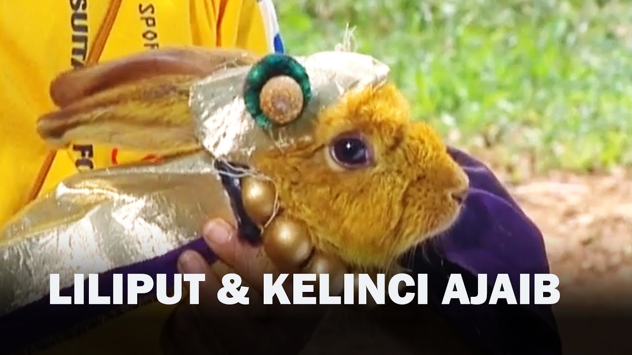 Liliput Dan Kelinci Ajaib - LEGENDA