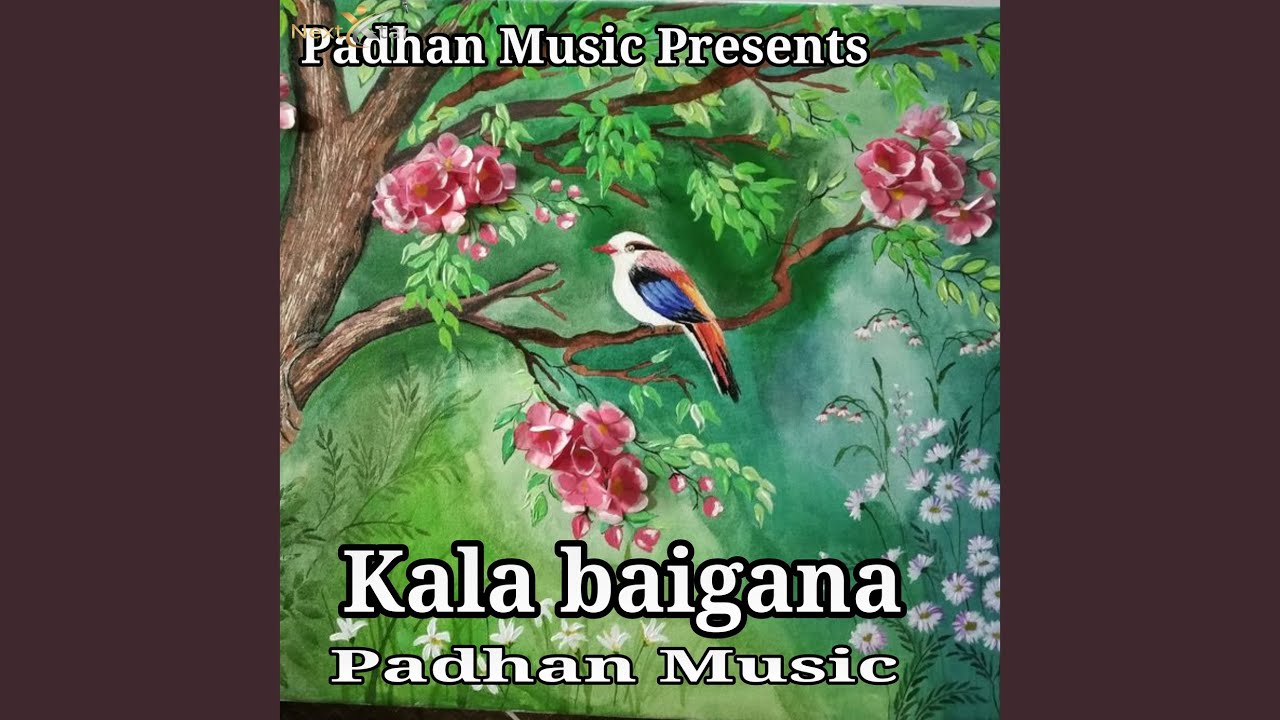 Kala Baigana