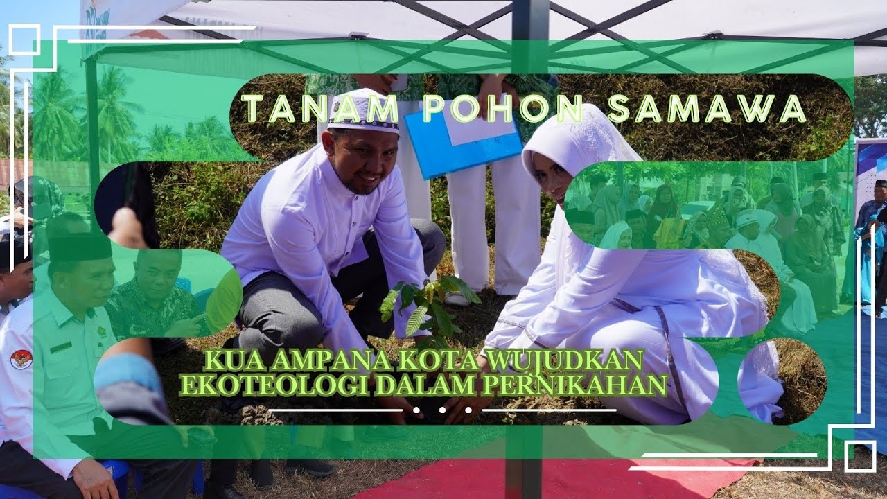 Tanam Pohon SAMAWA, KUA Ampana Kota Wujudkan Ekoteologi dalam pernikahan