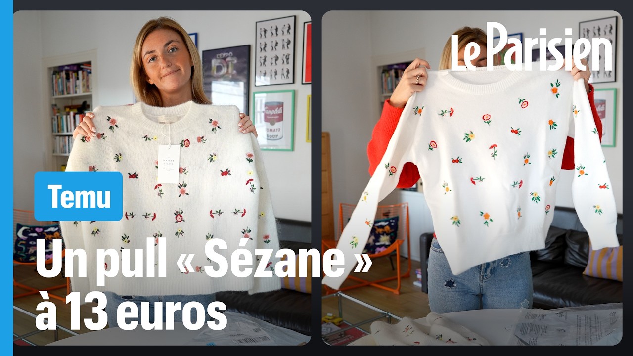 « Ils volent notre travail » : ces marques de mode pillées par Temu et Shein