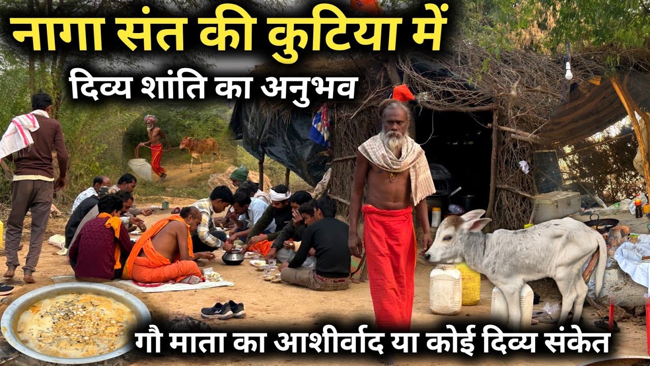 जंगल की कुटिया में गौ माता का आशीर्वाद या कोई दिव्य संकेत #babaji #saint #sadhu #aghoribaba 