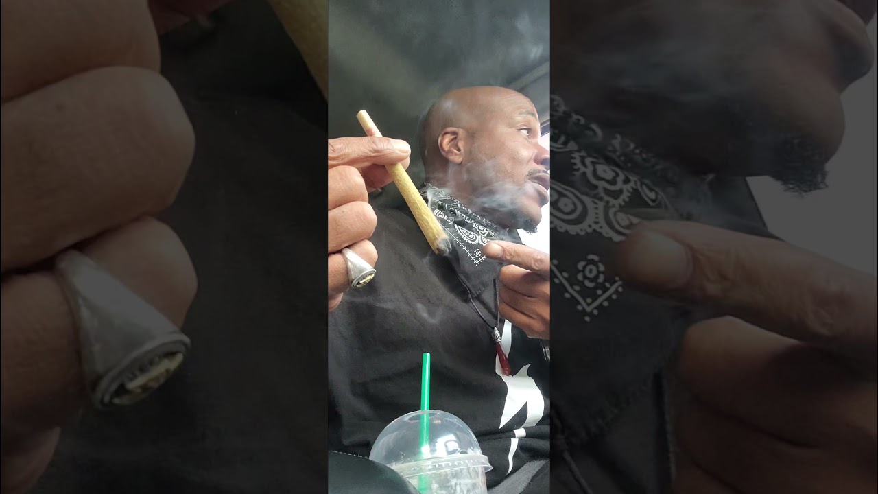 DevsDaily420&bull; King Tarantula&bull; Motorbreath 15&bull; 33.30%THC
