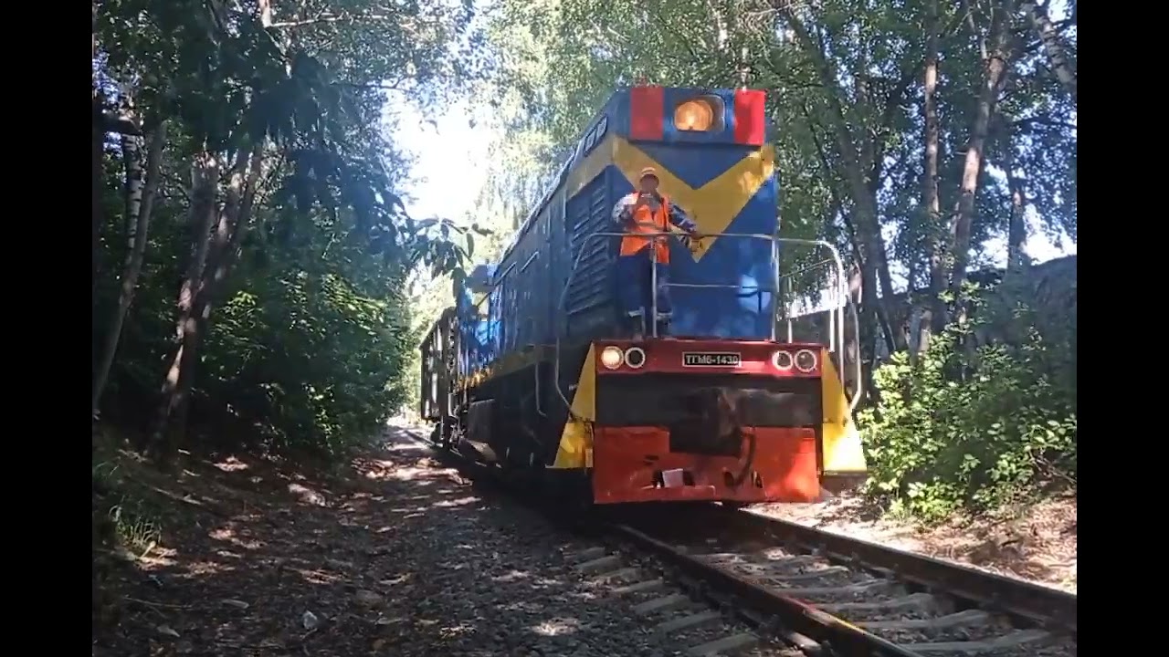 тепловоз ТГМ6А-1430 с грузовым составом