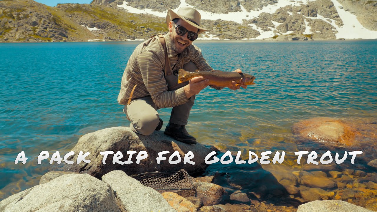 A Horse Pack Fly Fishing Trip For Golden Trout