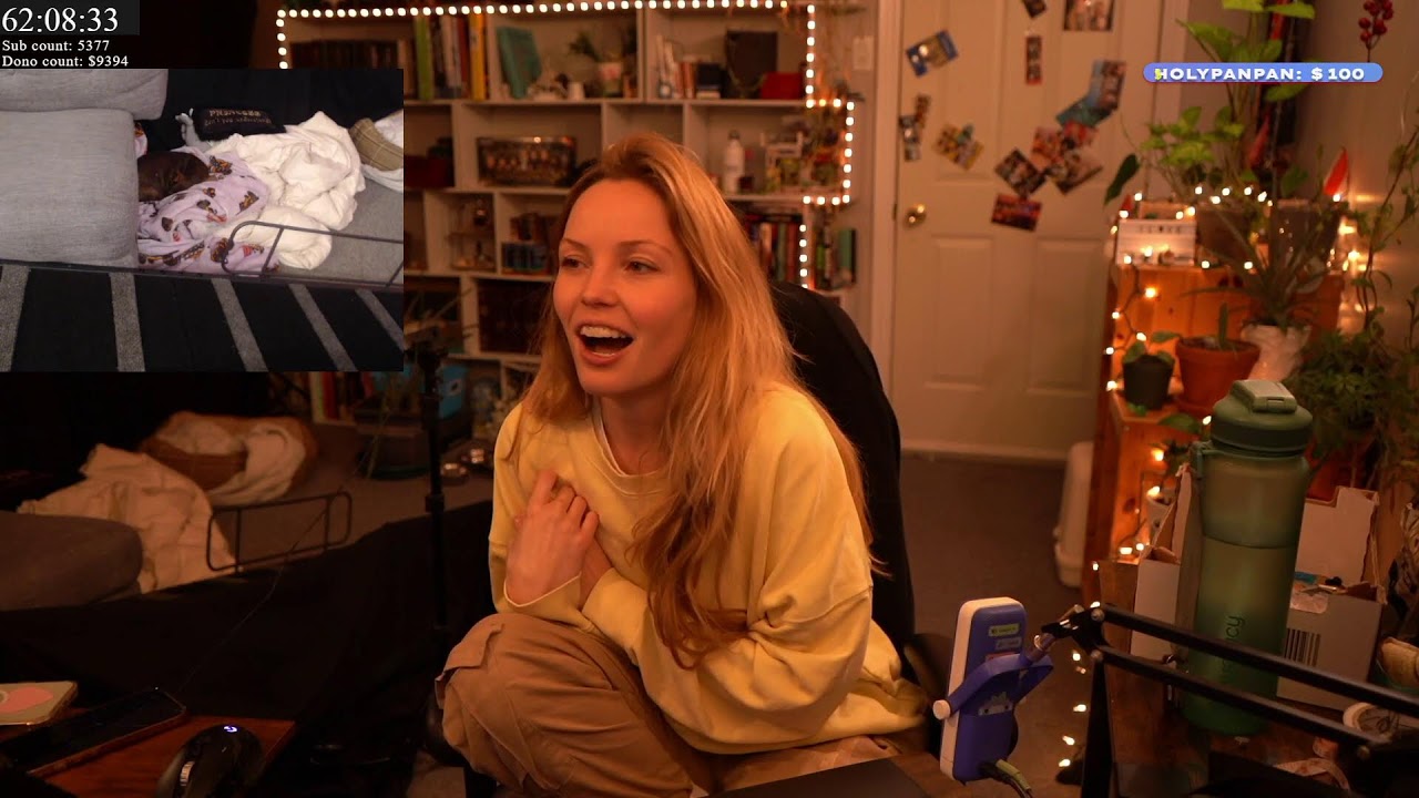 Building A Ramp For My Disabled Dog (Come see how well she walks now though!)