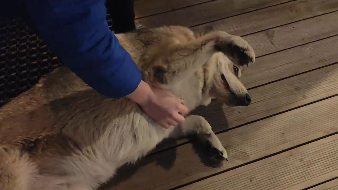 Scenic Lithuania Road Trip: Kirkilai Lakes, Hillforts & Historic Castles Adventure