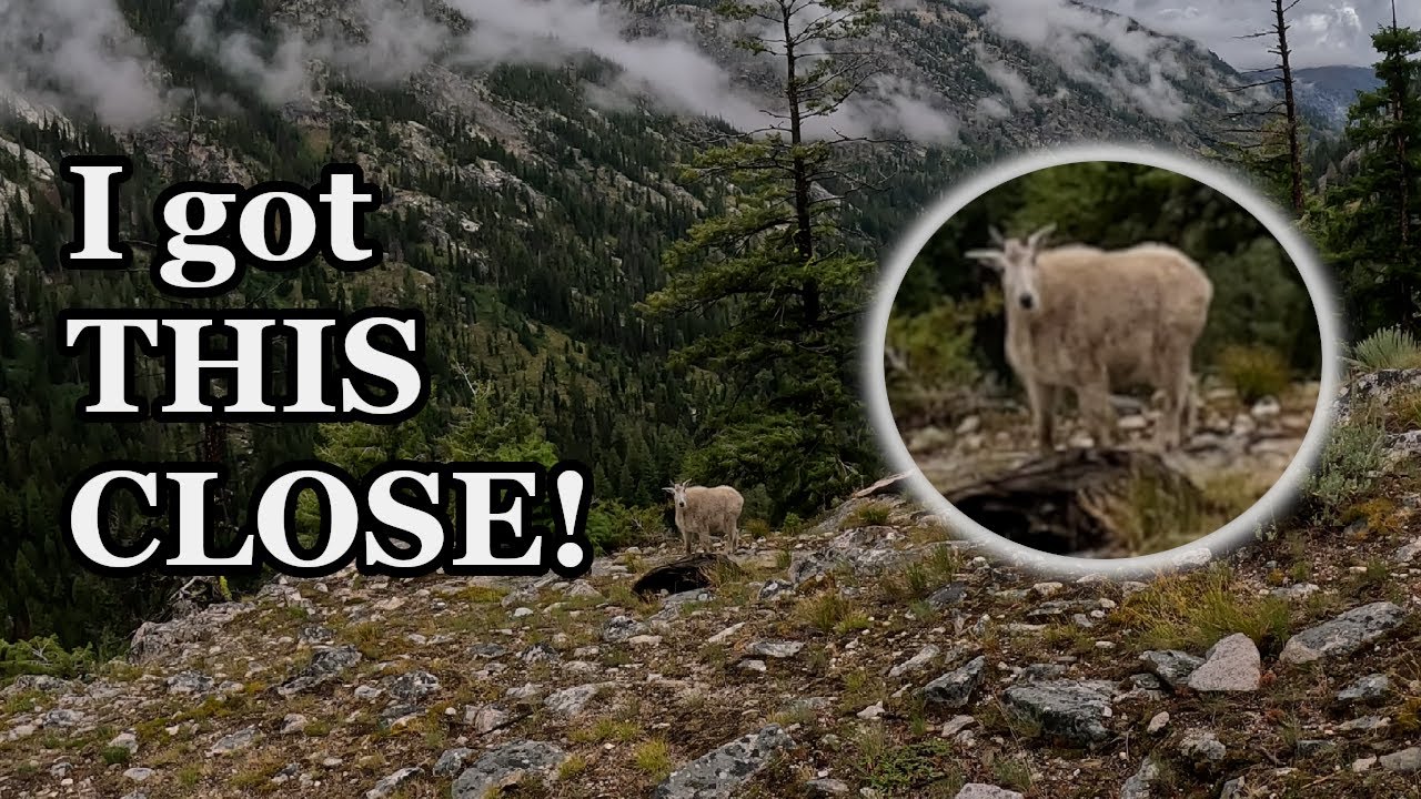 Completely SOLO DIY Mountain Goat hunt in Idaho!!!