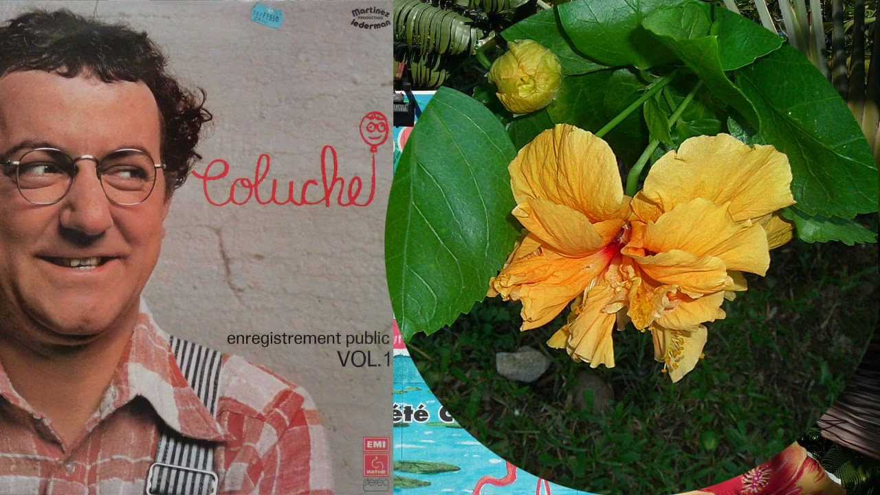 Guadeloupe - Le jardin de Coluche