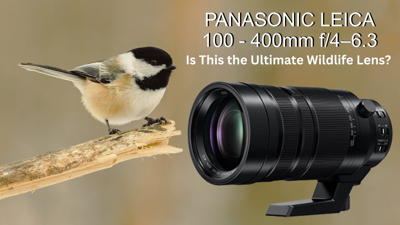 Panasonic Leica 100-400mm Review | The Ultimate Wildlife Lens?