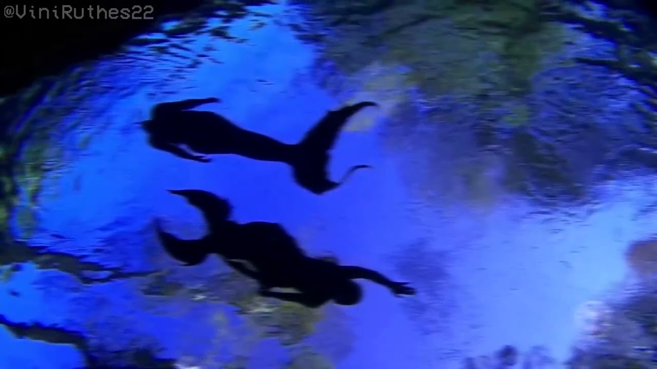 Sereia Me Perdoa (Slowed + Reverb)