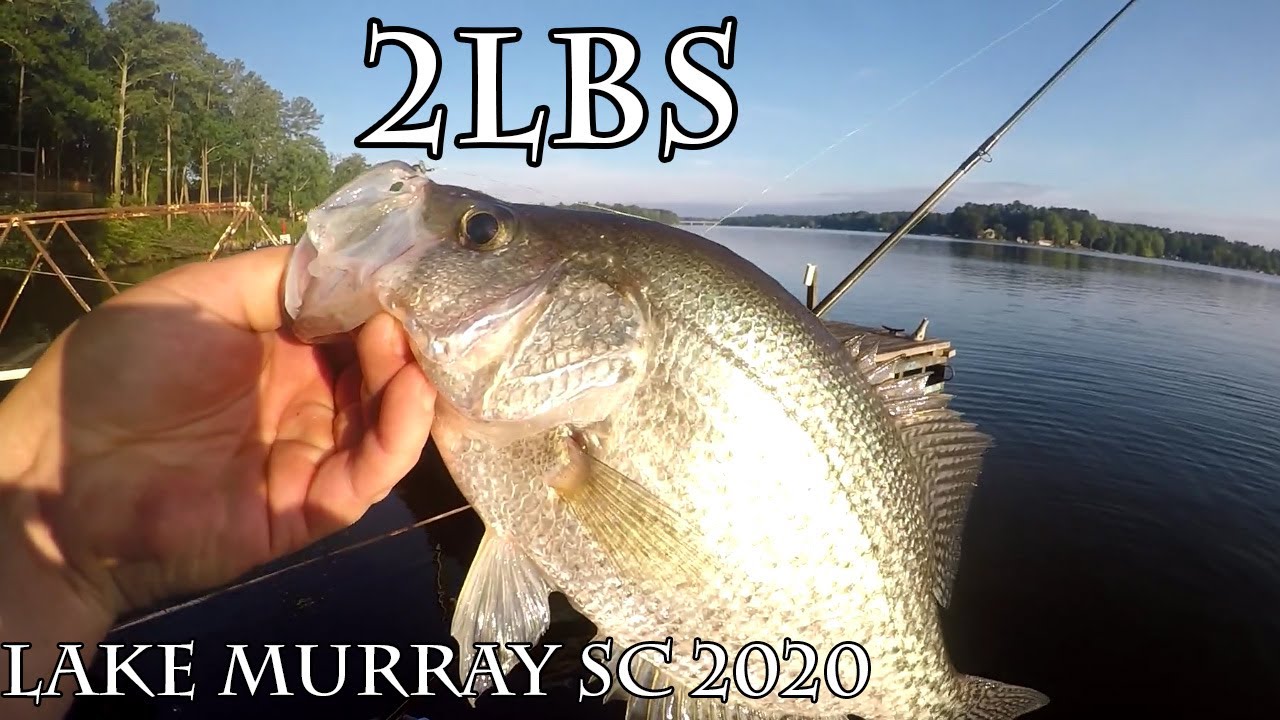 Catching HUGE Summer SLAB Crappie on Lake Murray Sc 2020