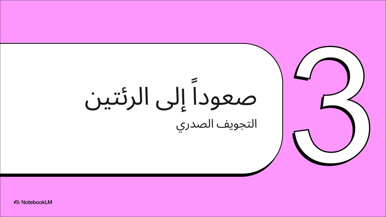 ملخص تشريح نظري 2