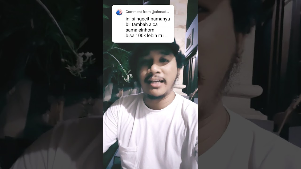 Total Quest Fame harian alca,einhorn dan SFM #sealonline