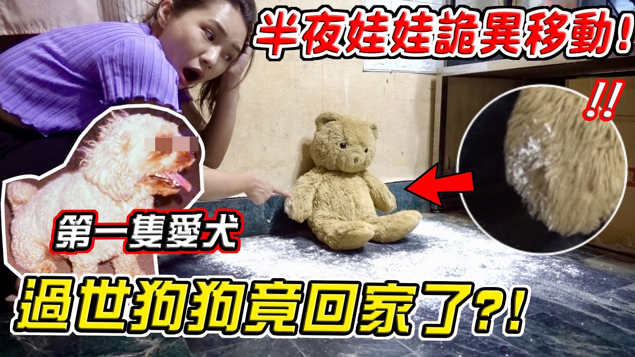 【都市傳說】主人第一隻過世狗狗鬼門開時會回家嗎？半夜娃娃詭異移動？驚見靈異白點？Ghost Dog Visits Family As A Spirit【希露弟弟啃雞腿】比熊 貴賓