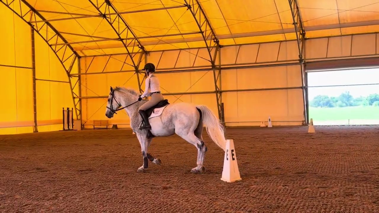 NCEA Flat Pattern #8 | Elizabeth Lewis riding Dialithos | NCAA Equestrian Preparation