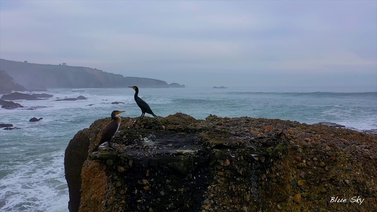 Landscapes of Asturias. Part II