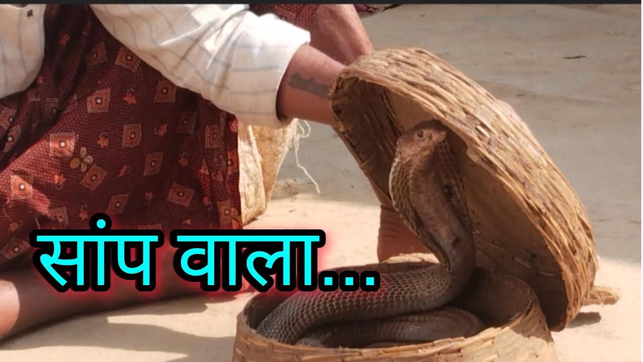 आज सांप वाला आया🫣🐍|| @vlogbysudha #dailyvlog 