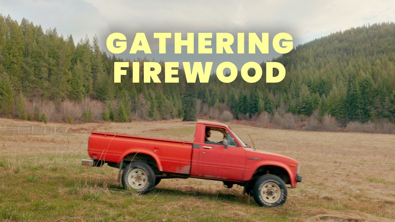 Gathering Firewood for Spring - Slow and Cinematic