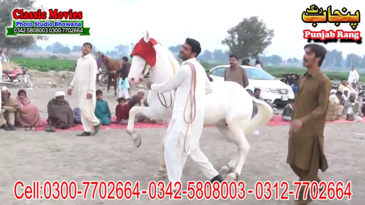 Horse Dance Jashne Bodla Bahar 2017 Abadi Shahbaz Nagar Pakpattan 17
