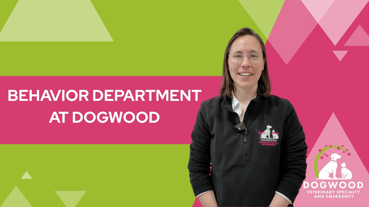 BehaviorDogwood